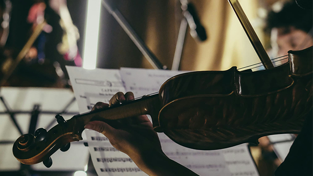 Person Playing Violin