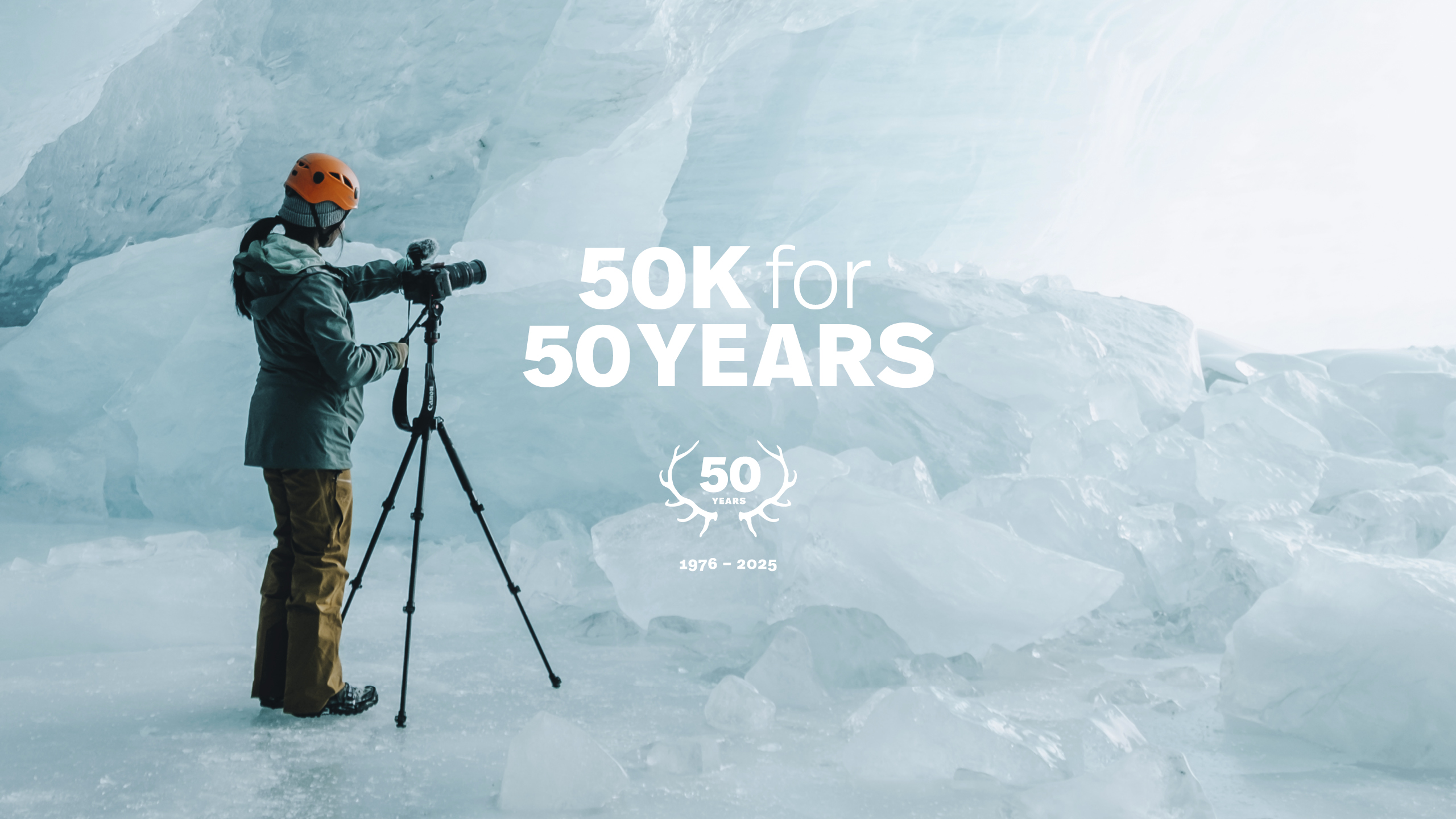 50 for 50 Hero Image