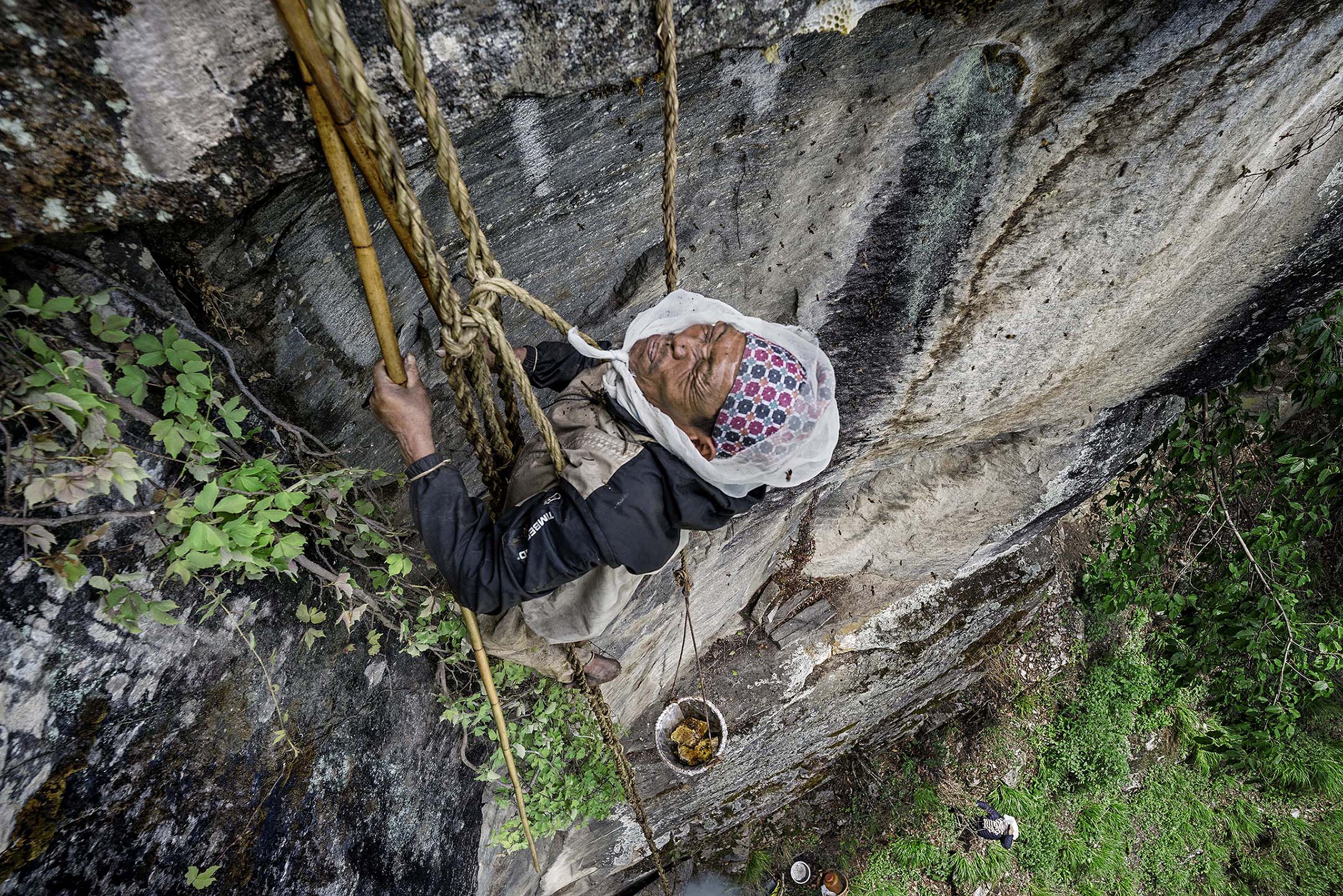 The Last Honey Hunter © Renan Ozturk