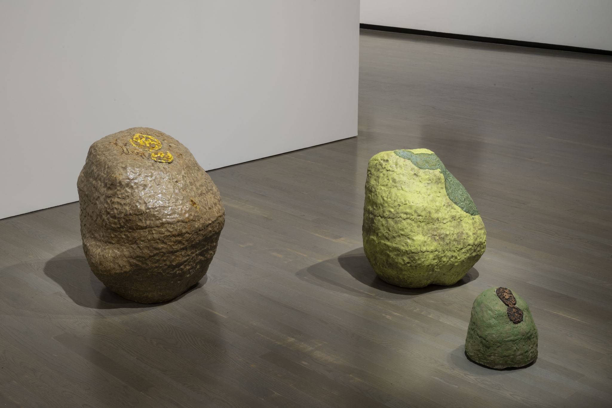 Installation view of Elliptical Lineages, Walter Phillips Gallery, Banff Centre for Arts and Creativity, 2025. From left to right: Gailan Ngan, Shore Pine Ash Rush, 2025; Chrome Spill, 2025; and Lichen Dots, 2025, all courtesy of the artist. Photo: Rita Taylor.