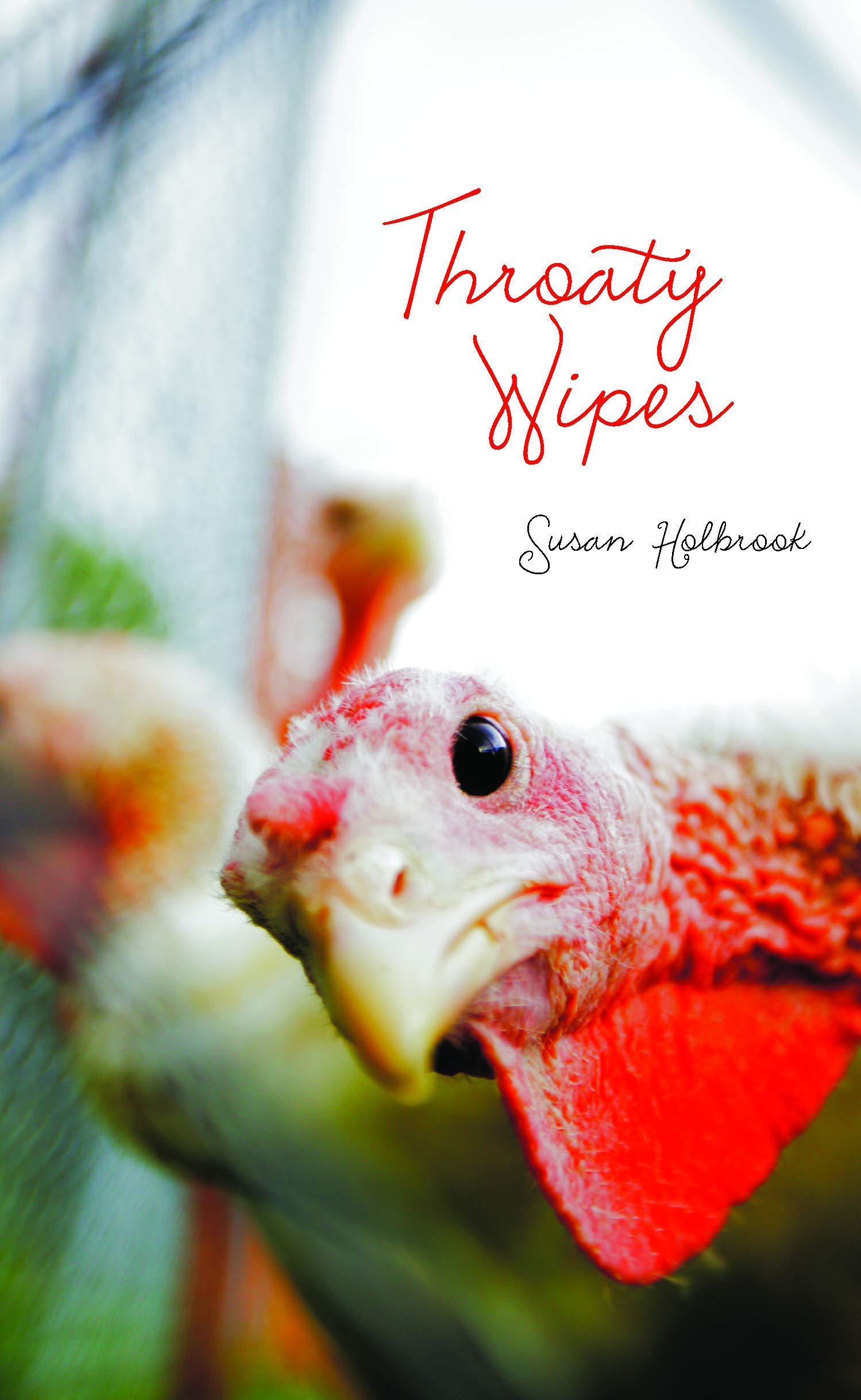 Book Cover of Throaty Wipes by Susan Holbrook