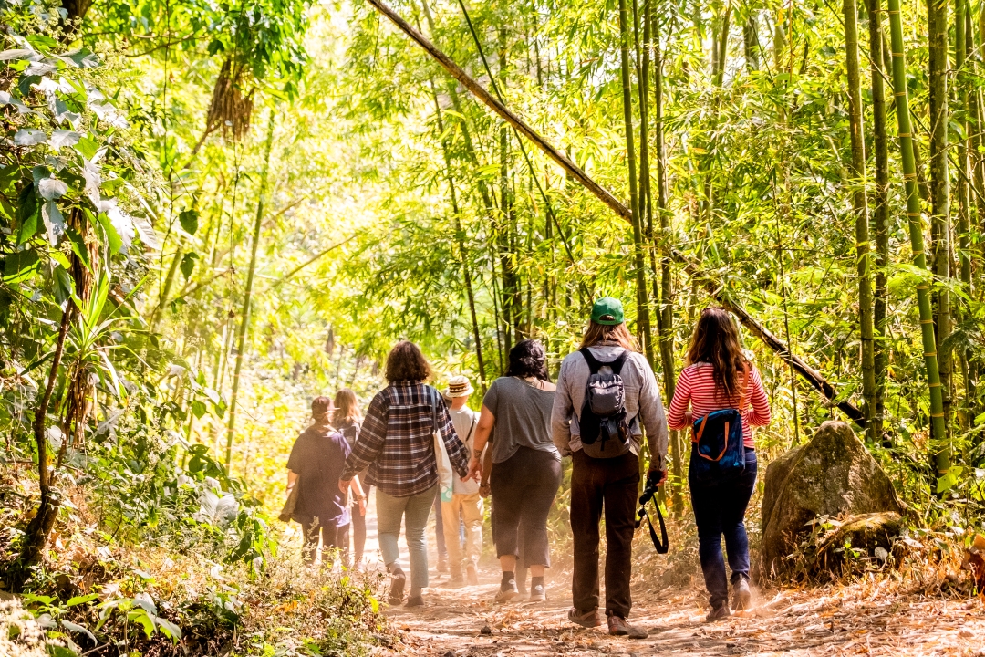 A group walks a narrow dirt bath through Brazilian rain forest. 