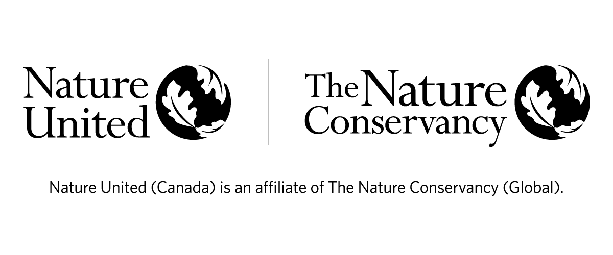NU