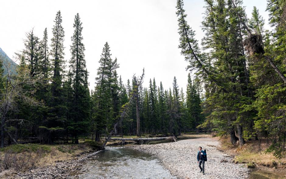 Musician walks through a mountain river with trees overhanging. 