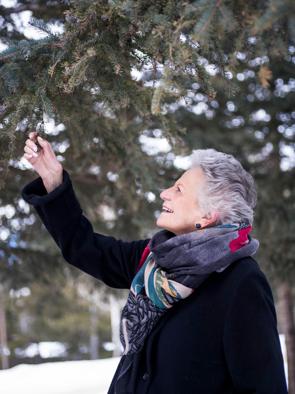 Jenny Belzberg | Campus Banff Centre donor grabbing a pine tree.
