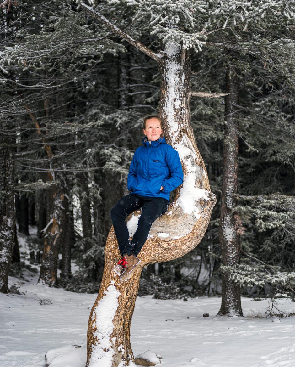 Kate Harris sits in a snow covered tree. 