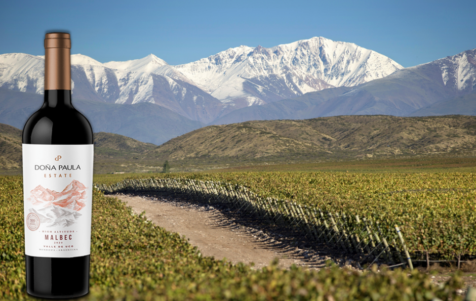 A Dona Paula wine bottle in front of their sub-alpine vineyards in Chile.