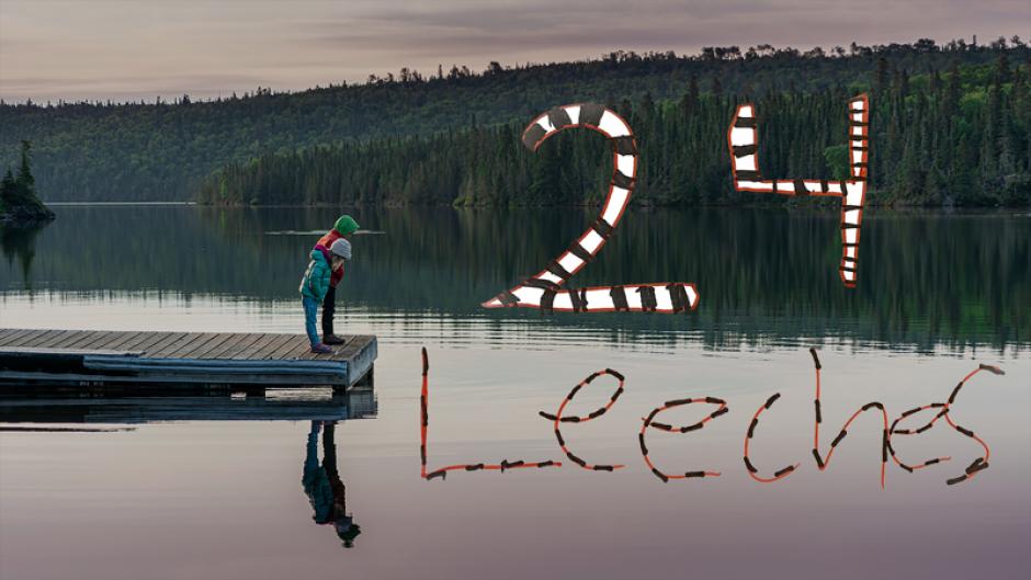 Image from the film 24 Leeches