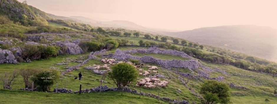 Image from the film The Silver Branch Image from the film The Silver Branch