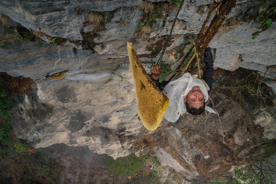 From the film The Last Honey Hunter Image of a honey hunter