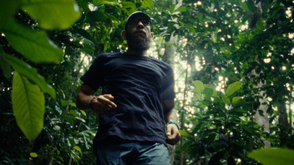 Tempo II. Movements in Jungles Tempo II. Movements in Jungles