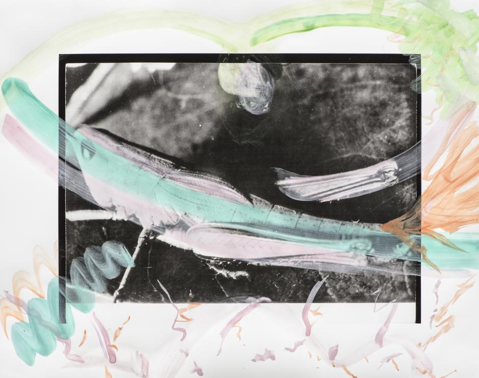 Tiziana La Melia and Maryse Larivière, "A Summer Tick" (2017). Digital print. Courtesy the artists. Tiziana La Melia and Maryse Larivière, "A Summer Tick" (2017). Digital print. Courtesy the artists.