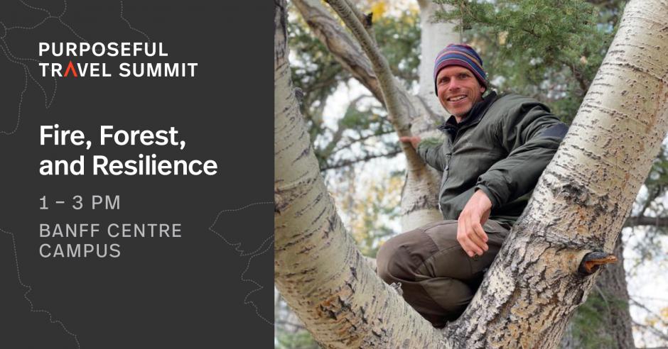 Image of Dave Verhulst for the Fire, Forests and Resilience