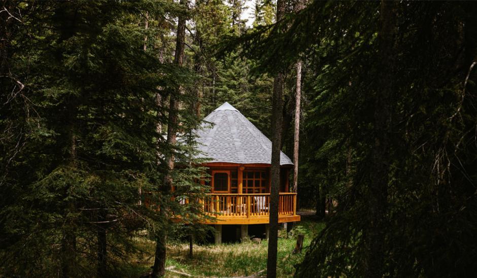 Wooden studio in the forest