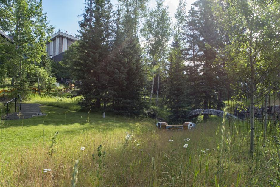 Spring Writers Retreat at Banff Centre