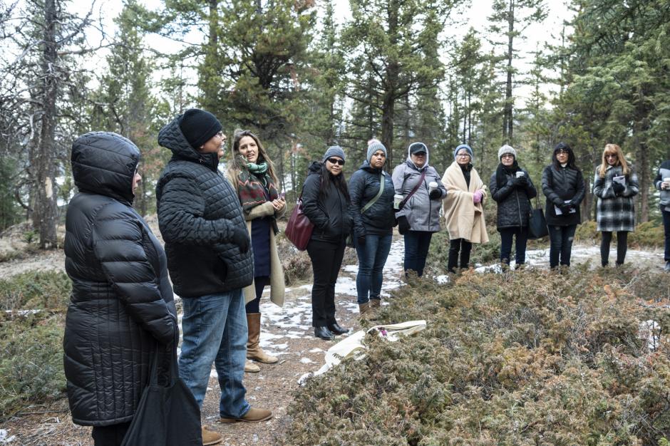 Introductory Wise Practices in Indigenous Leadership - Online Introductory Wise Practices in Indigenous Leadership - Online