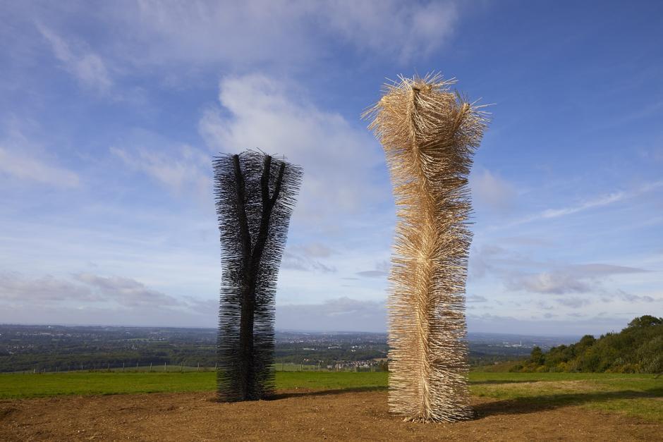 Ash to Ash by Ackroyd & Harvey, Commissioned though The Ash Project.