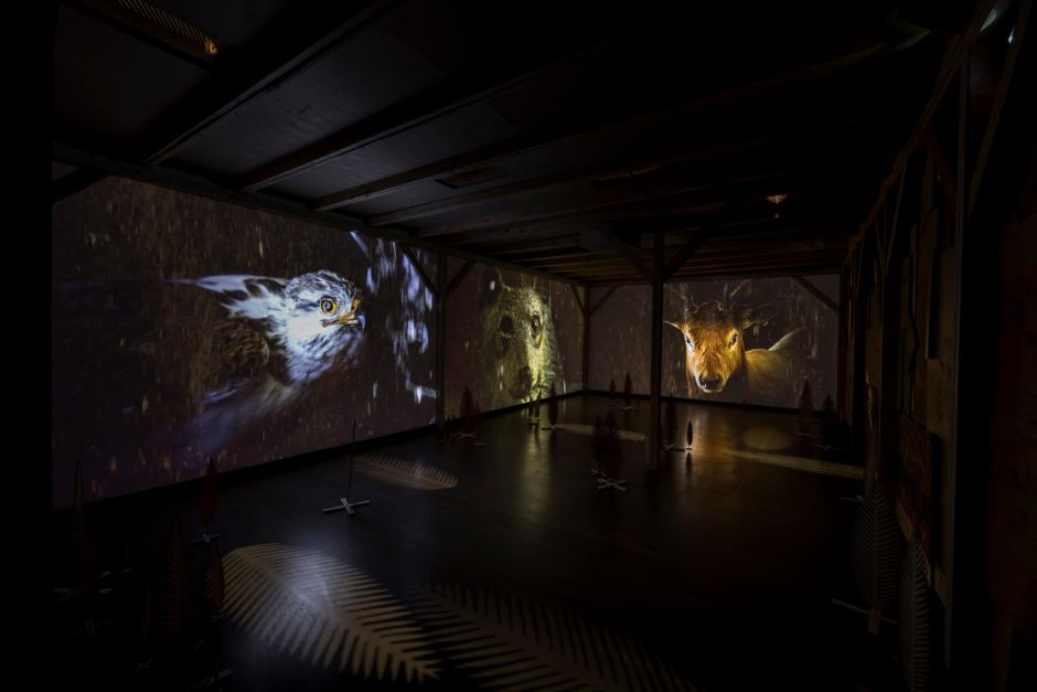 Installation view: Rita McKeough, darkness is as deep as the darkness is (2020), courtesy the artist. Walter Phillips Gallery, Banff Centre for Arts and Creativity. Photo by: Donald Lee. Installation view of Rita McKeoughs exhibition with video projections of wildlife
