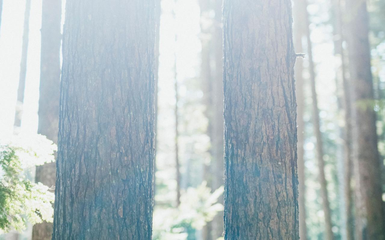 Jess Kimura © image from the film Learning to Drown