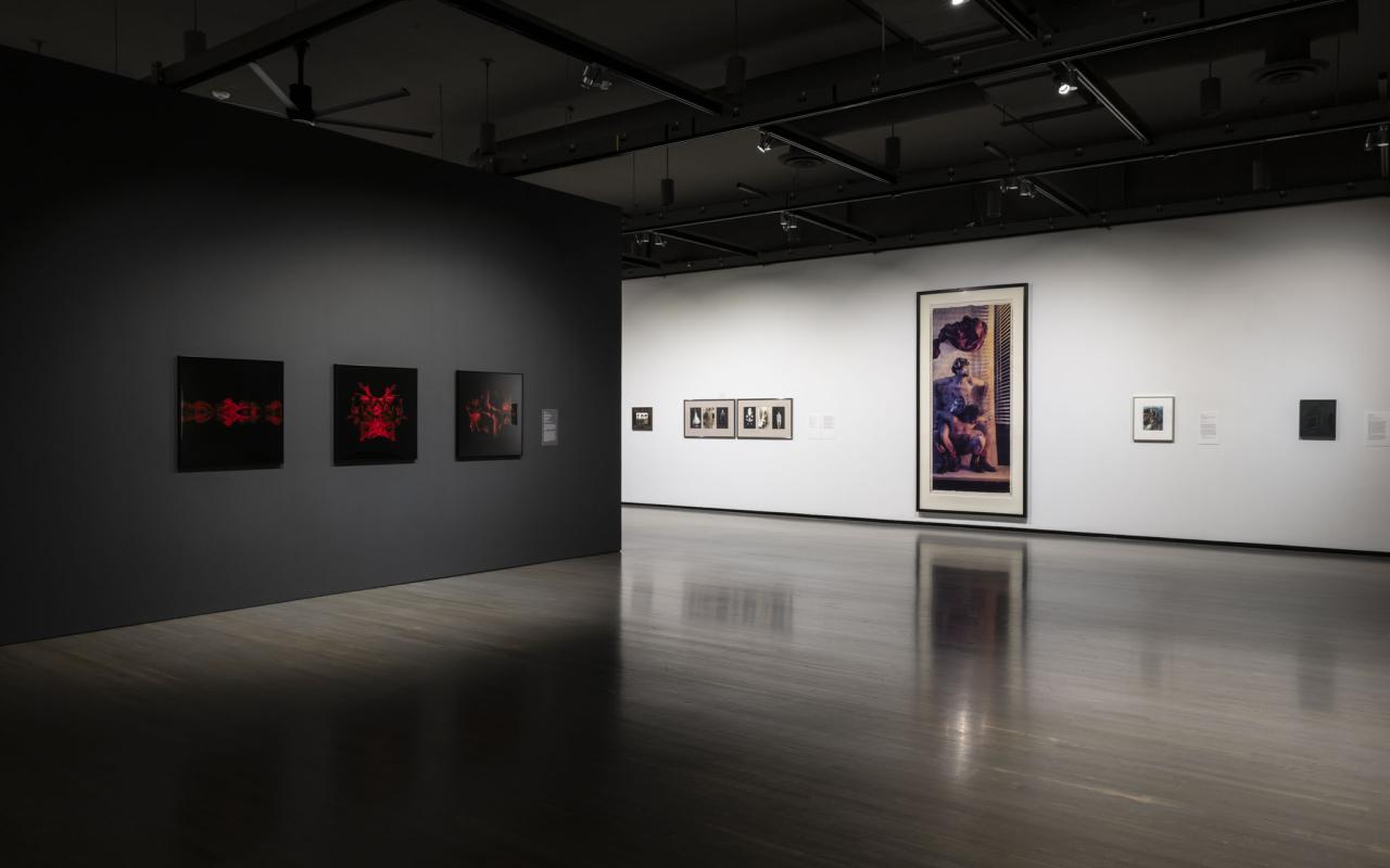 Installation view of Facing Photographs, Walter Phillips Gallery