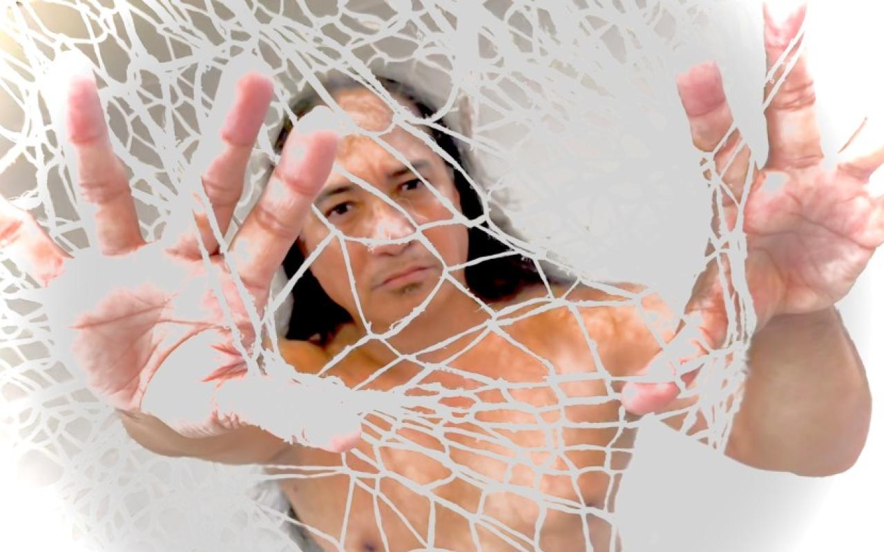 Male dancer behind a white net