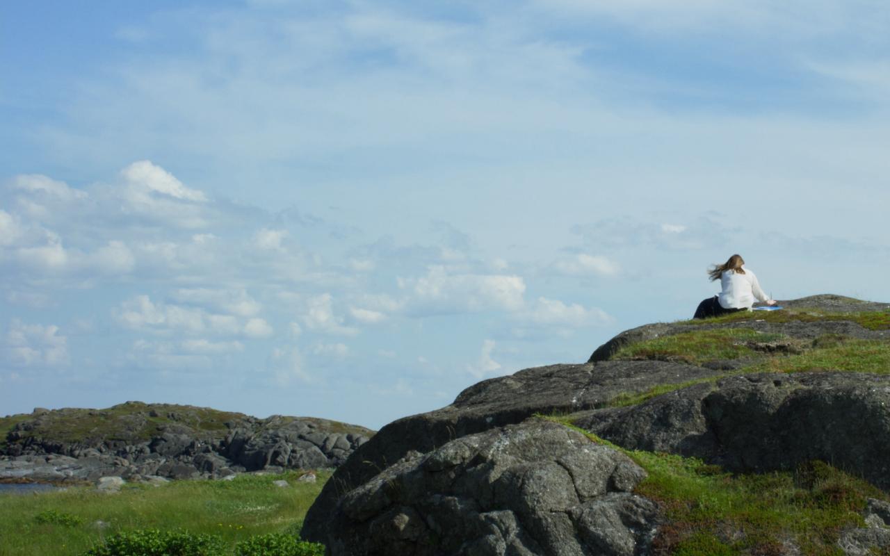 Landscape with large rock on Fogo Island