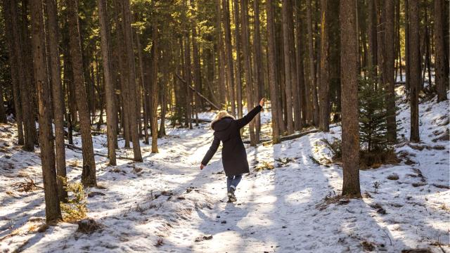 Crystal explores a forest trail.