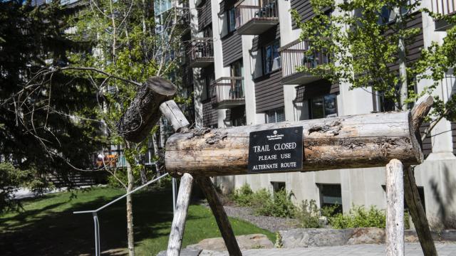 Wooden deer as trail closure signage 