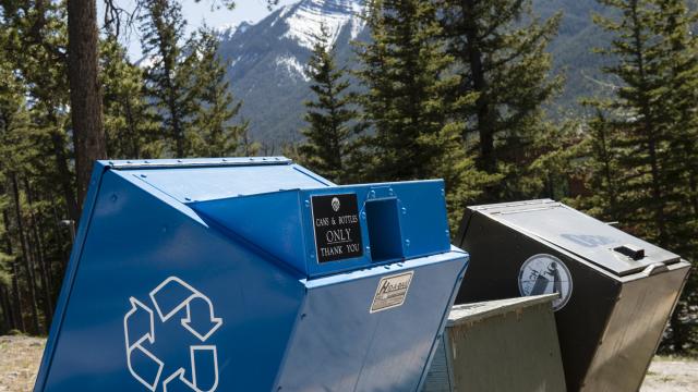 Garbage and recycling bins on campus