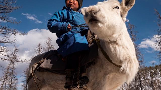Image from the film Bayandalai - Lord of the Taiga