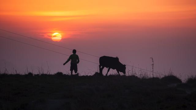 From the film Kumari: A Father's Dream, photo by Sean P. O'Connor