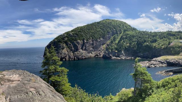 Overlooking Quidi Vidi, St. John's, Newfoundland and Labrador © Katie Wind