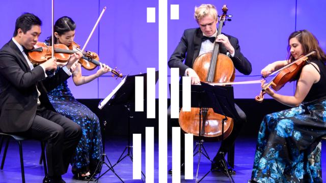 Viano String Quartet performs on stage at BISQC 2019