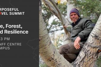 Image of Dave Verhulst for the Fire, Forests and Resilience