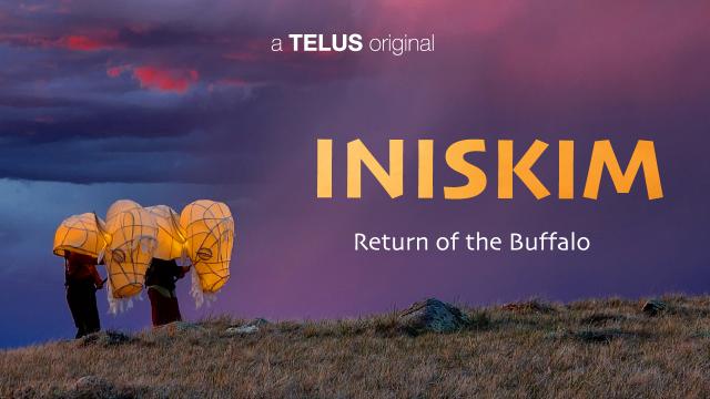 Iniskim, Return of the Buffalo, screening at Banff Centre during National Indigenous History Month 2024