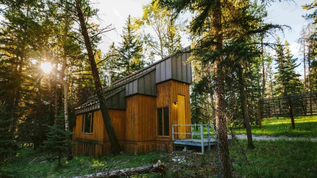 Studio in the forest