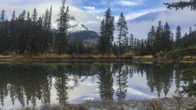Landscape reflection