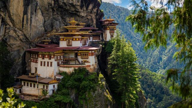 An ornate temple is built into a cliffside hanging in valley of coniferous trees.
