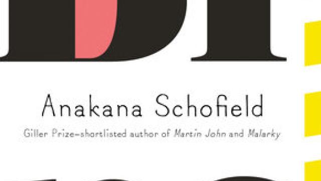 Cover Page for the book Bina by Anakana Schofield