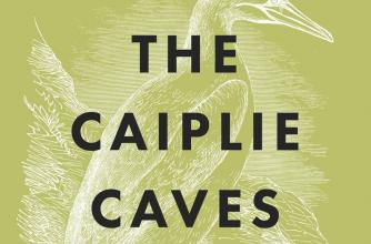 Book Cover for the novel The Caiplie Caves, from author Karen Solies