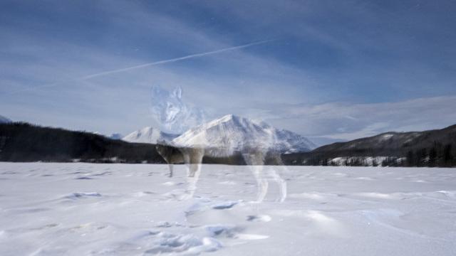 Peter Mather- Mountain Ghosts
