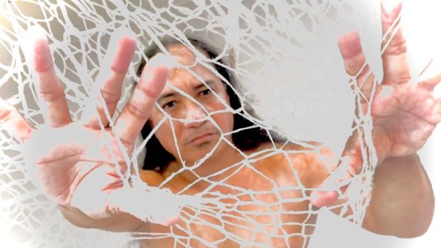 Male dancer behind a white net