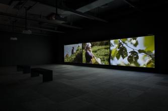 Angelica Mesiti, installation view of "The Calling". Walter Phillips Gallery, The Banff Centre. Photo Rita Taylor