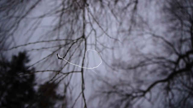Anne Macmillan, still from "Surface Scratches"