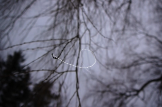 Anne Macmillan, still from "Surface Scratches"