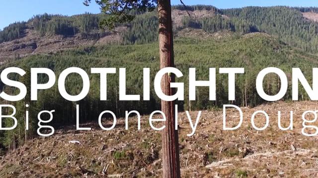 Big Lonely Doug Youtube video thumbnail