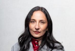 Photo of program faculty, Madhur Anand, looking at the camera with arms folded