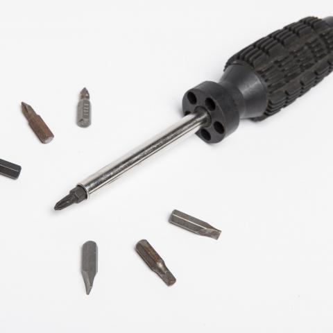 Screwdriver with bits