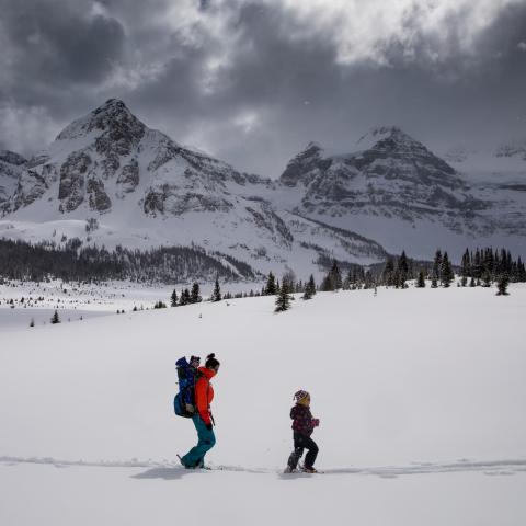 Assiniboine © Paul Zizka