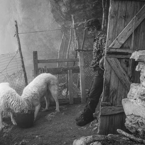  2020 Banff Mountain Photo Essay Competition Special Jury Mention, The Last Shepherd, Mauro Cironi